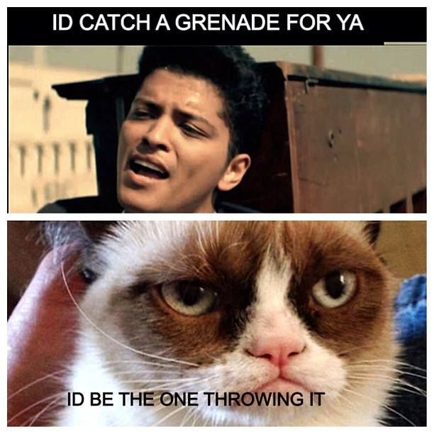 best 25 funny cat humor ideas on pinterest cats humor, funny 0c93d18bcb74ab6deb249cd789588873 funny grumpy cat memes grumpy kitty best 25 funny cat humor ideas on pinterest cats humor, funny,Funny Memes Humor