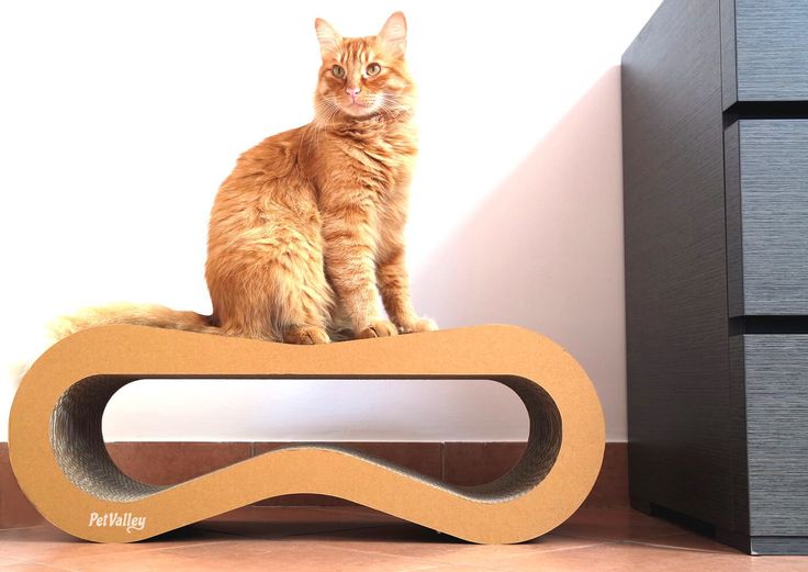 Cuccia Palestra e Graffiatoio,Completamente Riciclabile Prodotto di Design in Cartone ondulato,ideale come lounge Tiragraffi per Gatti letto