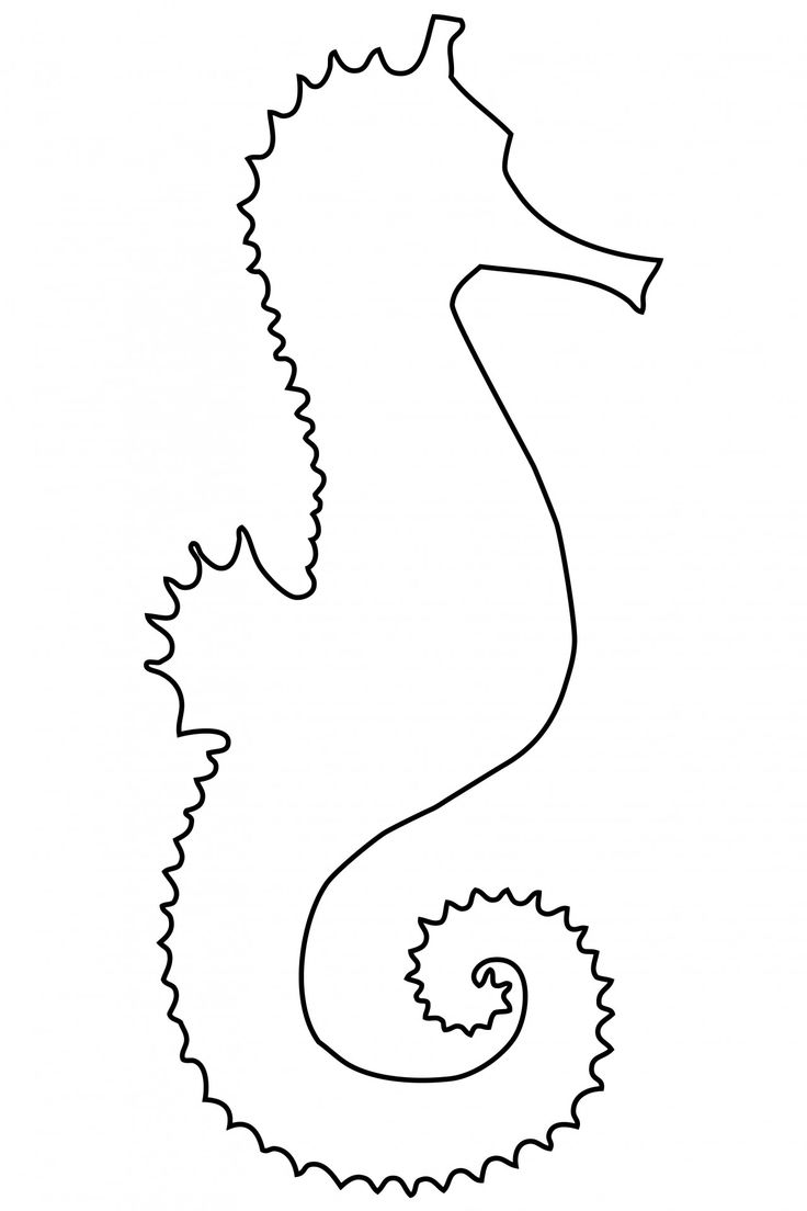 seahorse outline clipart seahorse outline free clip art outline of a seahorse