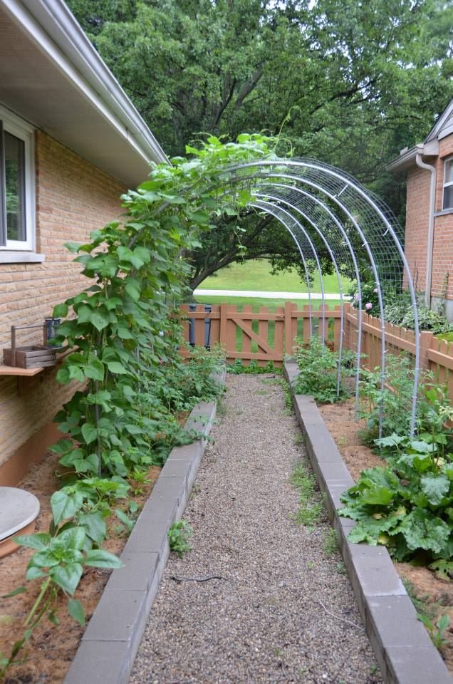 an outdoor garden with lots of green plants