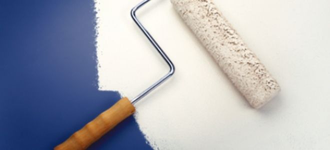 Don T Ruin The Finish Of Your Matte Painted Walls By Using Improper Cleaning Techniques House Tips - How To Clean Matte Finish Wall Paint Don T Ruin The Finish Of Your Matte Painted Walls By Using Improper Cleaning Techniques House Tips - How To Clean Matte Finish Wall Paint