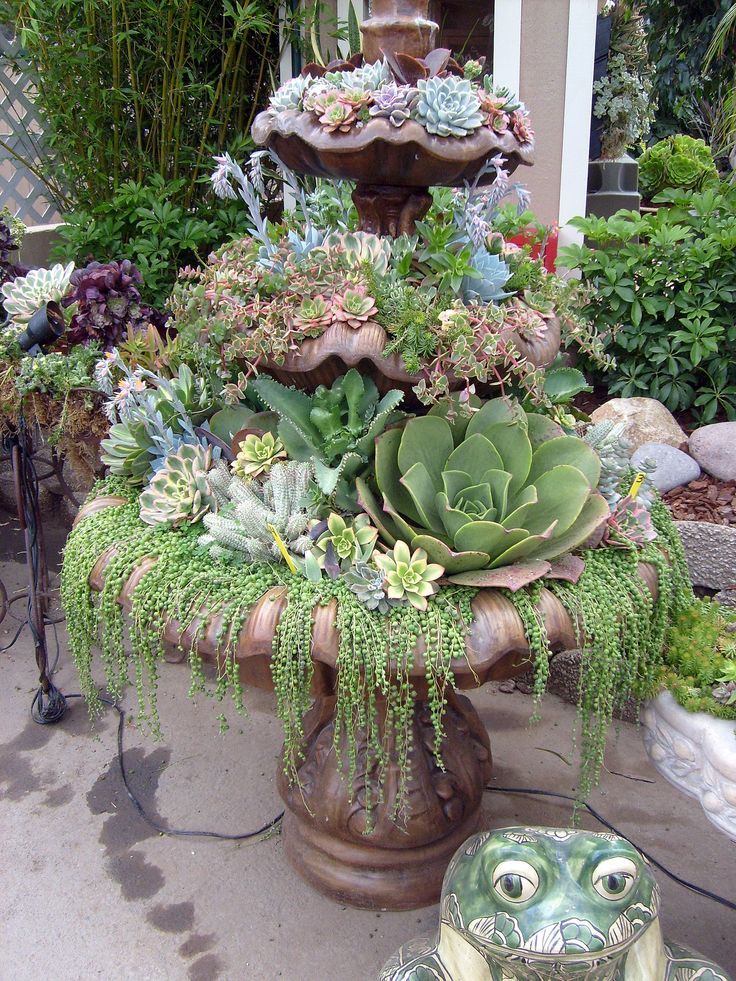 Alternative Use For Water Fountain Succulents Cacti Pinterest Alternative Use For Water Fountain Succulents Cacti Pinterest Garden And