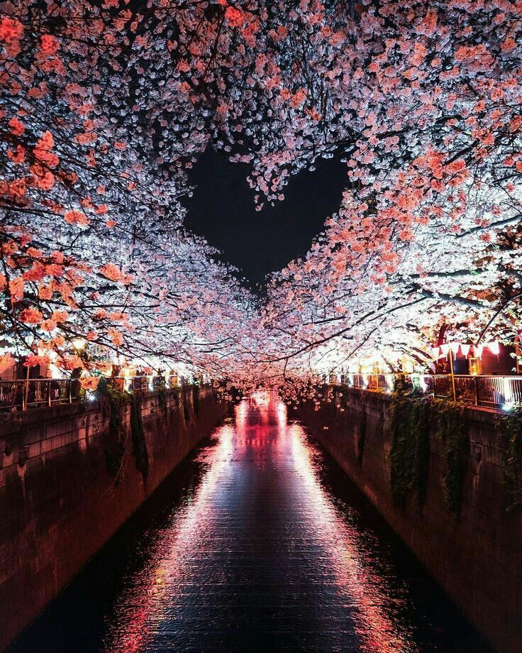 صور انمي خلفيات nature photography scenery wallpaper beautiful nature wallpaper