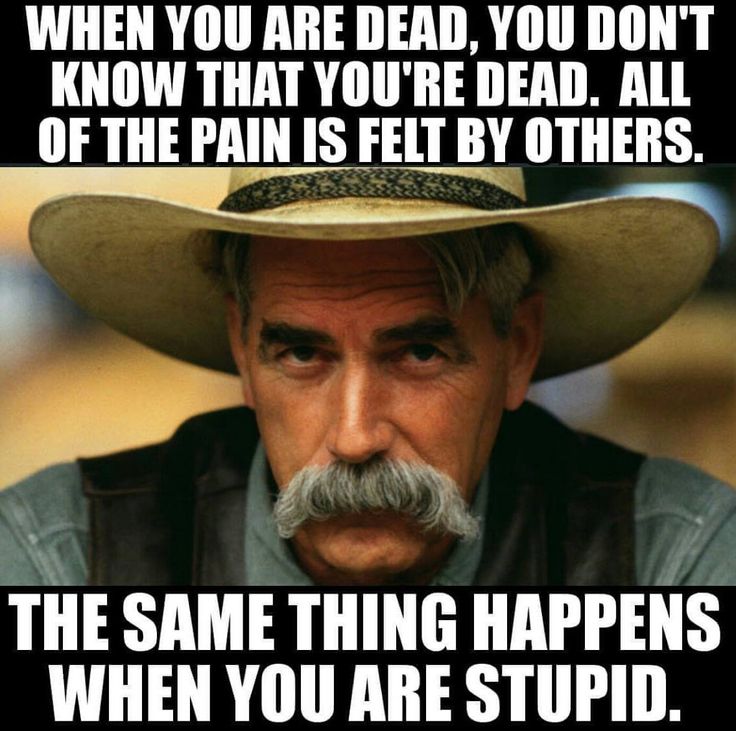 1577 best and we laughed! images on pinterest cow, dr pepper 0cb6d848019b8fe3e4b44b7c04d4a3ff meme humor humour 1577 best and we laughed! images on pinterest cow, dr pepper