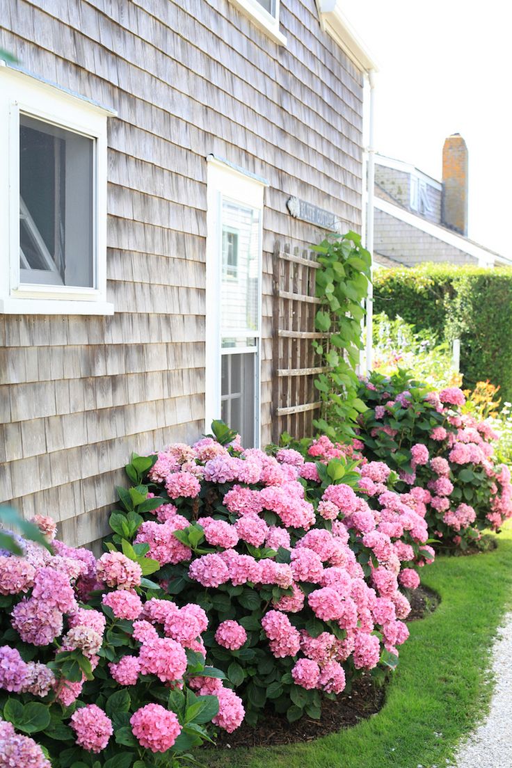 best 25 front flower beds ideas on pinterest flower bed plants flowers garden and flower bed decor - Flower Garden Ideas In Front Of House best 25 front flower beds ideas on pinterest flower bed plants flowers garden and flower bed decor - Flower Garden Ideas In Front Of House