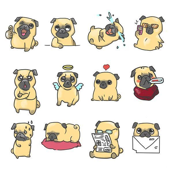 best names for pugs best 25 pug names ideas only on pugs black pug puppies and black pug best names for pugs best 25 pug names ideas only on pugs black pug puppies and black pug