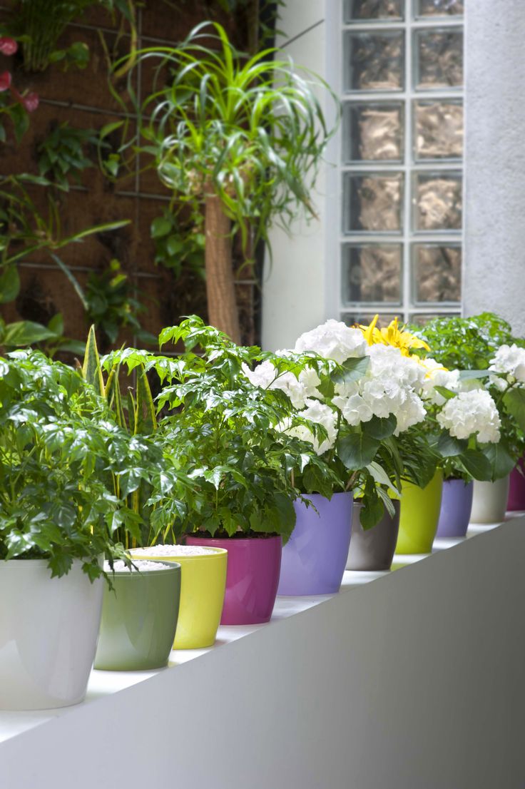 Best Plastic Fantastic Lightweight Indoor And Outdoor Plastic - Plastic Fiori Coloured Pots Madeira White Green Yellow Pink Purple Grey best plastic fantastic lightweight indoor and outdoor plastic - plastic fiori coloured pots madeira white green yellow pink purple grey