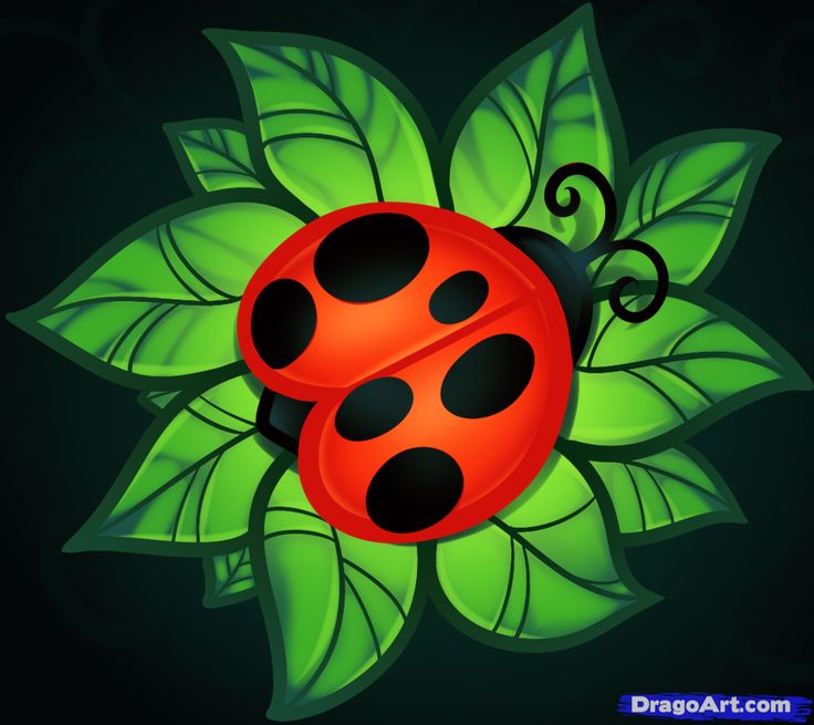 How To Draw Lady Bugs On A Cake How To Draw Lady Bugs On A Cake