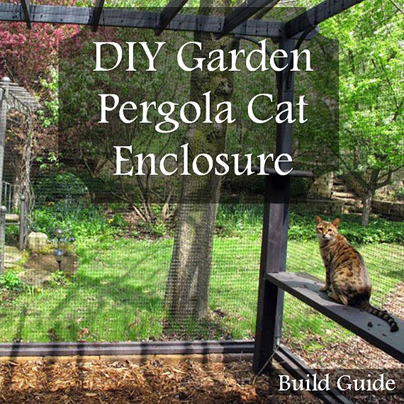 With half a dozen mutinous cats, we had often entertained the idea of building a cat enclosure. We wanted our cats to be able to enjoy nature, roll in the dirt, and bask in the sun without risking their safety. What wasn’t appealing were the images that came up when searching for cat