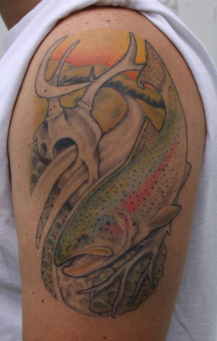 rainbow trout and a whitetail skull fish and fishing rainbow trout and a whitetail skull fish and fishing