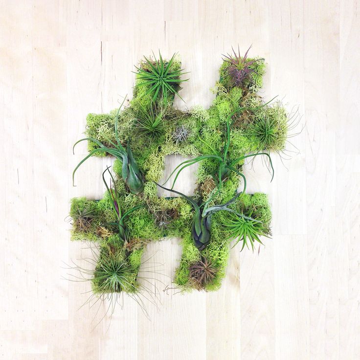How To Build A Living Wall 66 best living walls + greenery images on pinterest | plants How To Build A Living Wall 66 best living walls + greenery images on pinterest | plants
