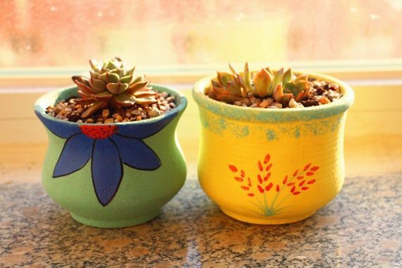 Home Garden Mini garden Lovely flowerpot gift for her Ceramic planter Hand painted flowerpot Succulent Plants Home Decor