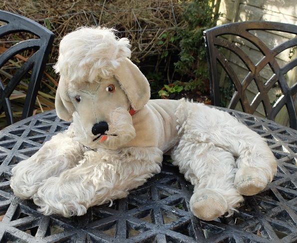 Large Old Steiff Poodle For Sale Www Oldteddybearshop Co Uk Dogs
