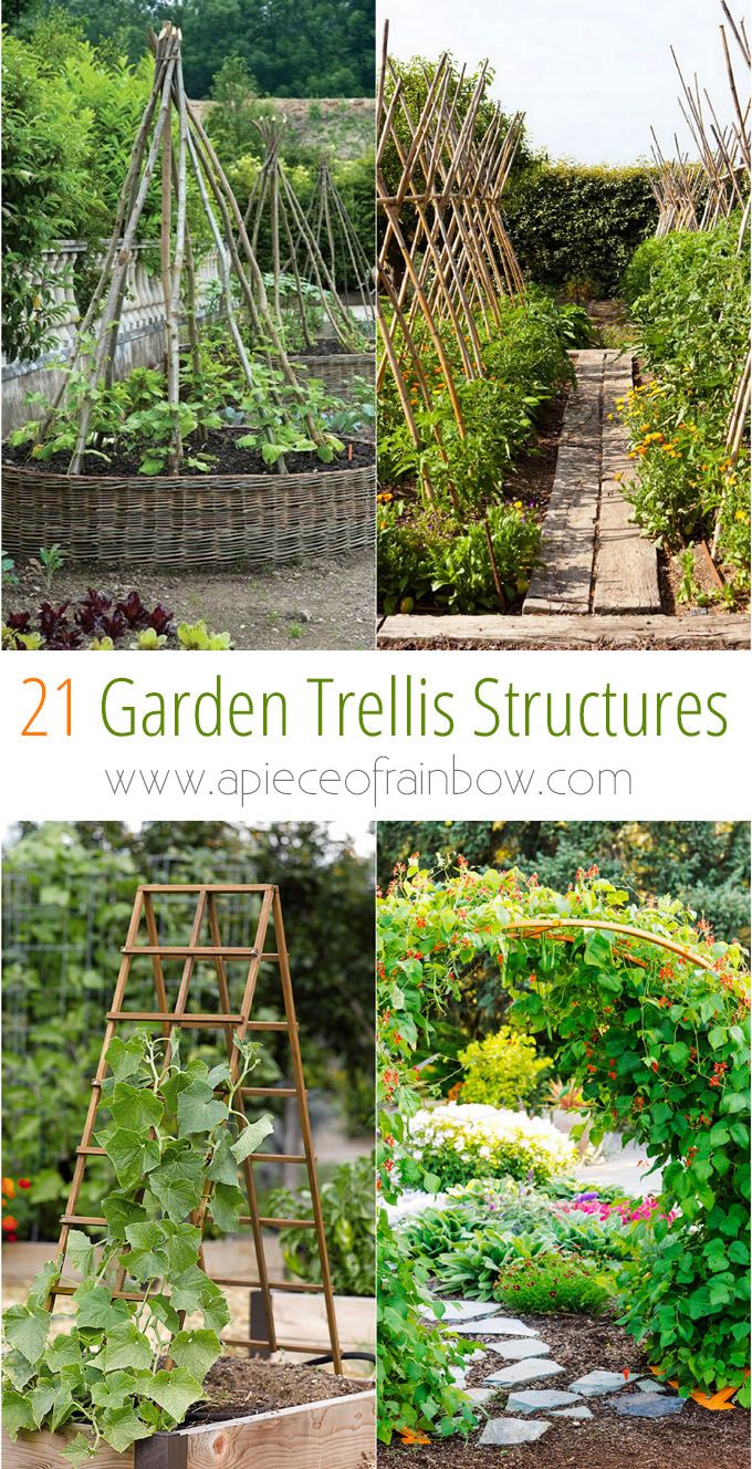 Marvelous Diy Garden Trellis Ideas Part - 10: 21 Easy DIY Garden Trellis U0026 Vertical Growing Structures | Garden Structures, Pergolas And Rainbows