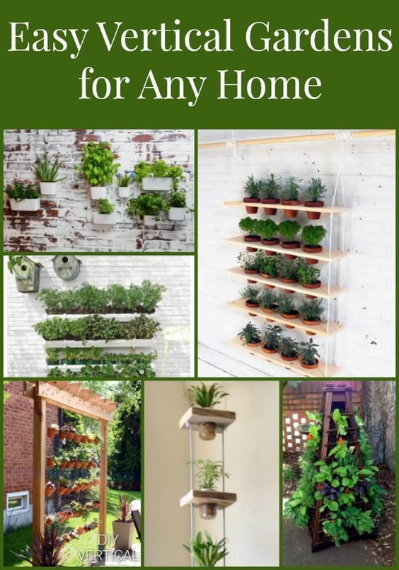 Easy Garden Ideas For Small Spaces 1205 best gardens images on pinterest | gardening, vegetable Easy Garden Ideas For Small Spaces 1205 best gardens images on pinterest | gardening, vegetable