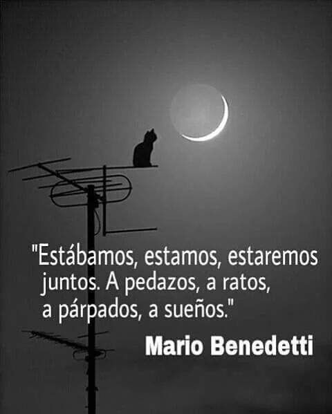 37 best Lecturas images on Pinterest | Love, Wise words