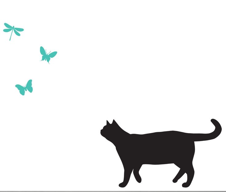 Design with Vinyl JER 1345 2 A Vinyl Wall Decal Cat 12X30 As Seen 12 x 30 Design with Vinyl JER 1345 2 A Vinyl Wall Decal Cat 12X30 As Seen 12 x 30