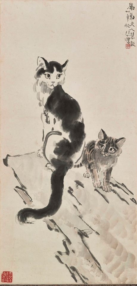 Join. asian cat sketches Business. asian cat sketches found