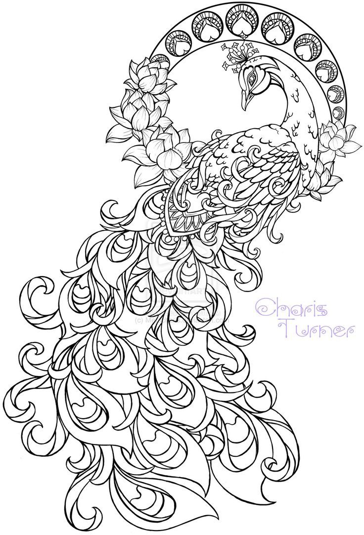 Realistic peacock coloring pages free coloring page printable Adult Coloring Book Pinterest