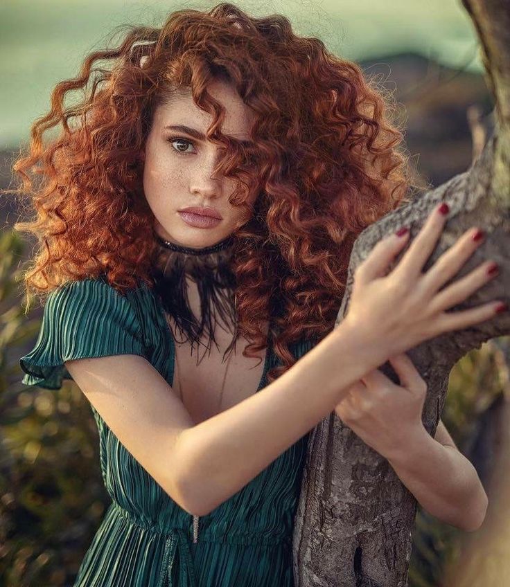 Одинокая кучерявая красотка Одинокая кучерявая красотка