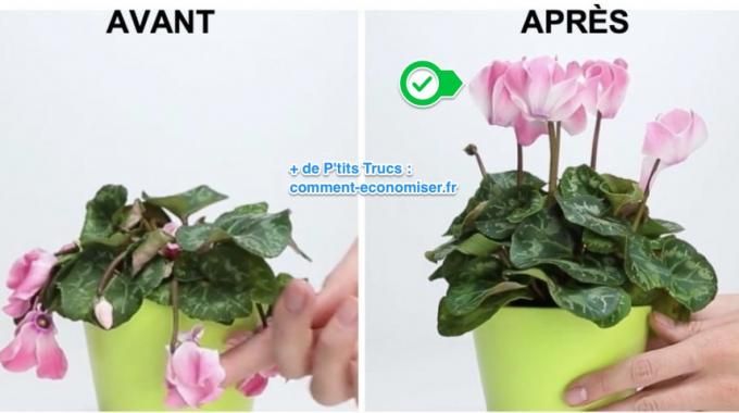 353 best Garden images on Pinterest Decks, Vertical gardens and - a quoi faire attention quand on achete une maison 353 best Garden images on Pinterest Decks, Vertical gardens and - a quoi faire attention quand on achete une maison