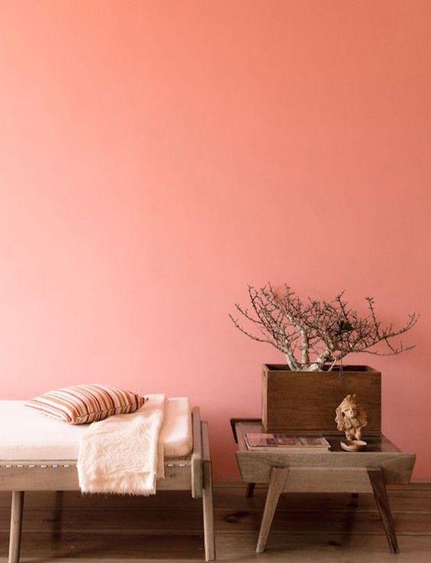 living coral introducing the pantone color for 2019 walls interior decor pms scale 106