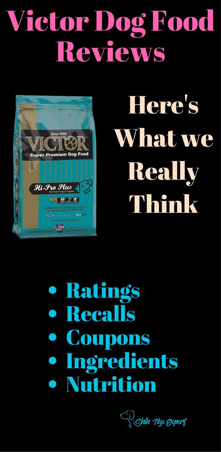 Victor Dog Food Reviews >> Victor Dog Food Reviews By Experts Ratings Recalls History Victor Dog Food Reviews >> Victor Dog Food Reviews By Experts Ratings Recalls History