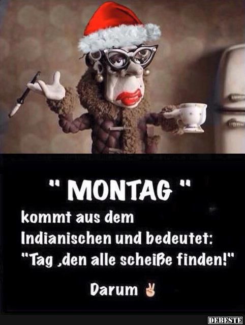 Kostenlos Chatten Und Flirten Ohne Anmeldung Kostenlos Chatten Und Flirten Ohne Anmeldung