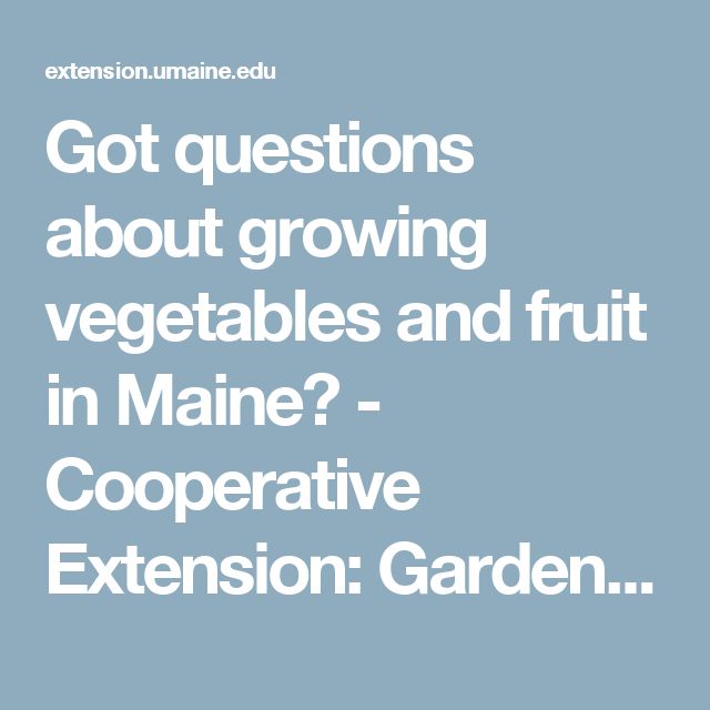 Got questions about growing ve ables and fruit in Maine Got questions about growing ve ables and fruit in Maine Cooperative Extension Garden & Yard University of Maine Cooperative Extension