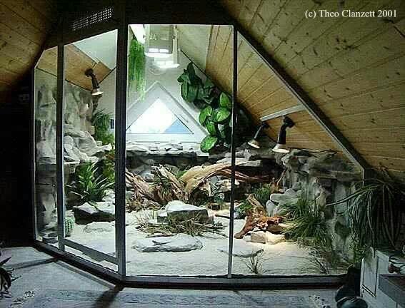 Best 20+ Large Terrarium Ideas On Pinterest Water Terrarium My dream terrarium - Best 20+ Large Terrarium Ideas On Pinterest Water Terrarium