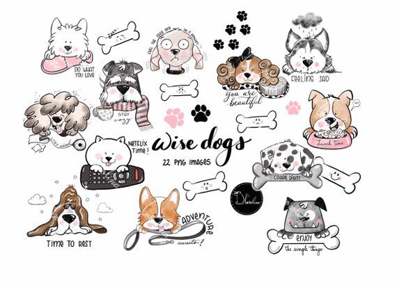 DOG DISH Iron On Embroidered Patch Pets Dogs Puppies