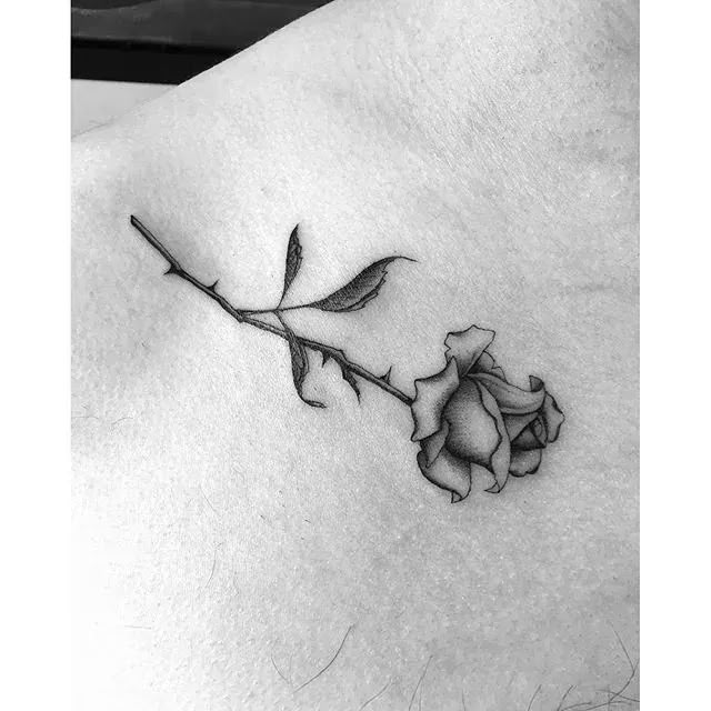 the 25 best small rose tattoos ideas on pinterest small rose the 25 best small rose tattoos ideas on pinterest small rose