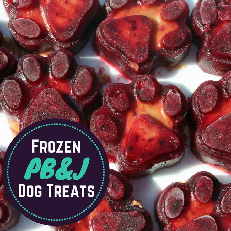 I Heart Blog Dog Biscuit Recipes Frozen Treats Homemade - Diy Healthy Frozen Dog Treats I Heart Blog Dog Biscuit Recipes Frozen Treats Homemade - Diy Healthy Frozen Dog Treats