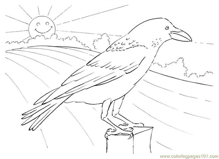 Download Thirsty Coloring Pages Crow Looking Birds | Coloring pages, Printable flower coloring pages ...