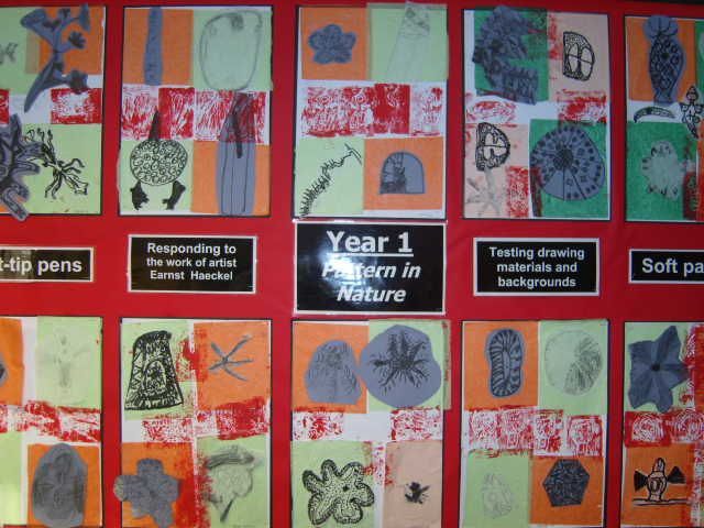 Ks1 Drawing And Print Pattern In Nature Grade 1 Art Patterns In Nature Drawings
