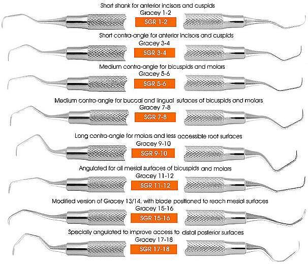 The 25+ best Dental terminology ideas on Pinterest Dental - dental records release form The 25+ best Dental terminology ideas on Pinterest Dental - dental records release form