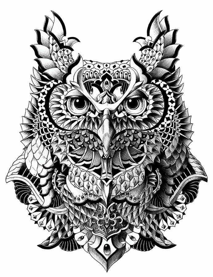 bioworkz is a graphic artist and freelance illustrator bioworkz is a graphic artist and freelance illustrator