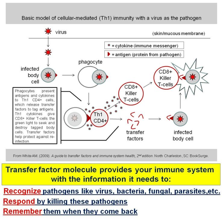50 best Immunology images on Pinterest T cell, Anatomy and - licht f amp uuml r badezimmer 50 best Immunology images on Pinterest T cell, Anatomy and - licht f amp uuml r badezimmer