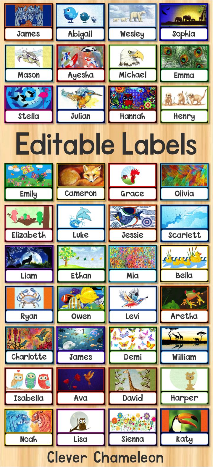 Name tags and labels for school