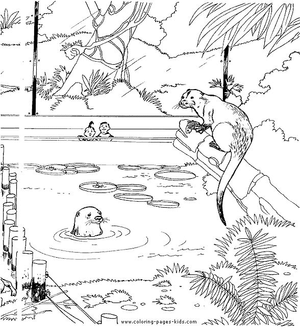 301 best june is national zoo and aquarium month images on pinterest - Aquarium Coloring Pages Printable 301 best june is national zoo and aquarium month images on pinterest - Aquarium Coloring Pages Printable