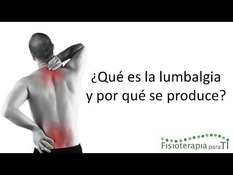 El magullado sheynogo del departamento de la columna vertebral a la avería