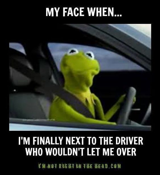 the 25 best colorado memes ideas on pinterest comedy shows 0e7de7cbee3ac49635259b1711c24f0e spring meme colorado springs the 25 best colorado memes ideas on pinterest comedy shows