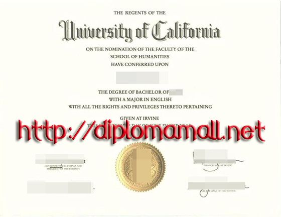 Njcu admissions essay