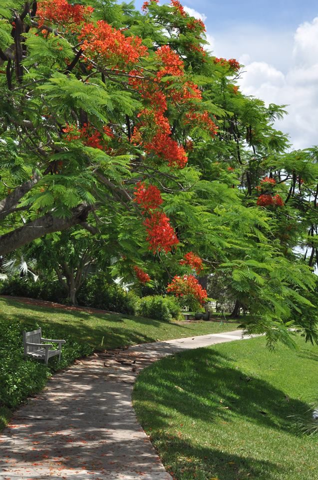 Christ Fellowship In Royal Palm Beach Florida Christ Fellowship In Royal Palm Beach Florida