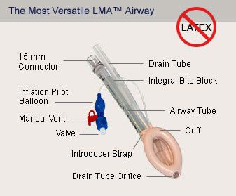 what does lma stand for in medical terms what does lma stand for in medical terms