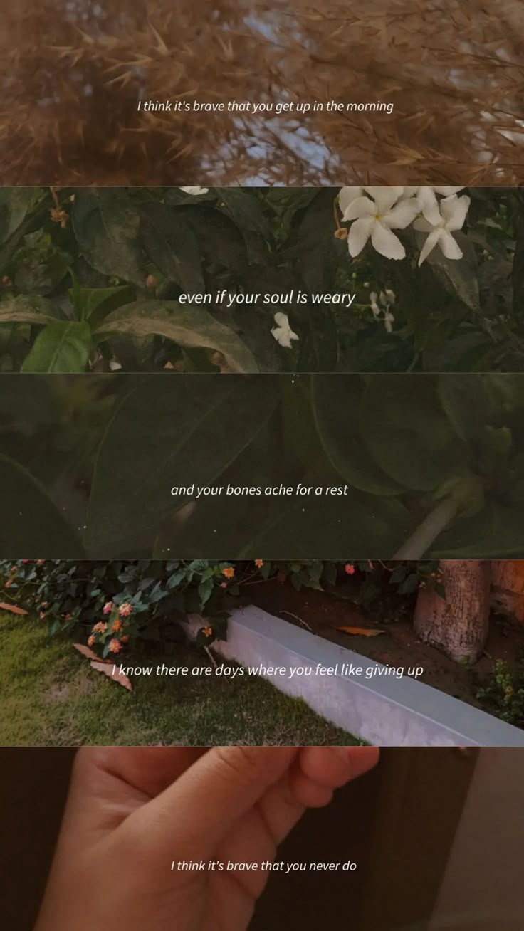 Pin By IQRA On Inspirational Quotes Sunset Quotes Instagram pin-by-iqra-on-inspirational-quotes-sunset-quotes-instagram