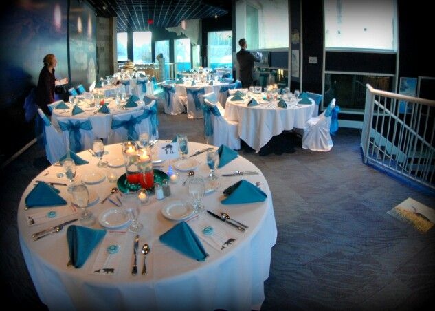 143 Best Toledo Zoo Arctic Encounter Wedding 5 3 14 Images On Arctic Encounter Wedding Reception