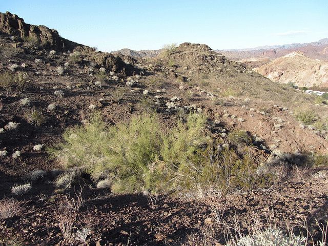 River Island Campground Parker Arizona River Island Campground Parker Arizona