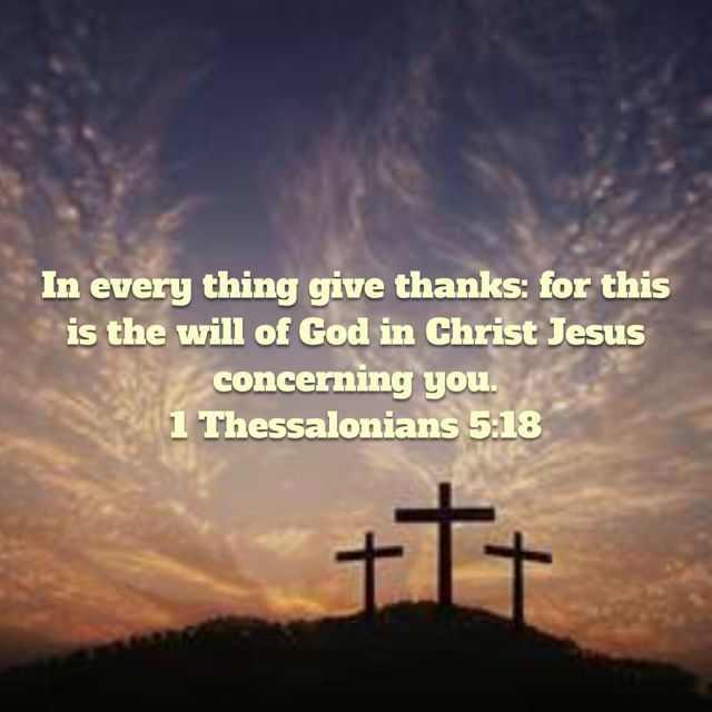 Pin on NIV Bible