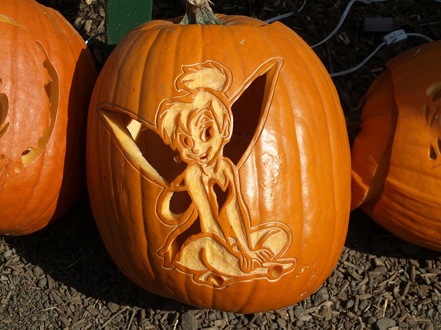 tinkerbell carved pumpkin
